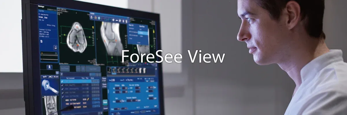 ForeSee View